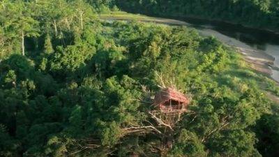 Rumah Pohon Di Pedalaman Papua Rumah Unik